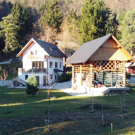 Vila Katarina Hrastenica Εξωτερικό φωτογραφία
